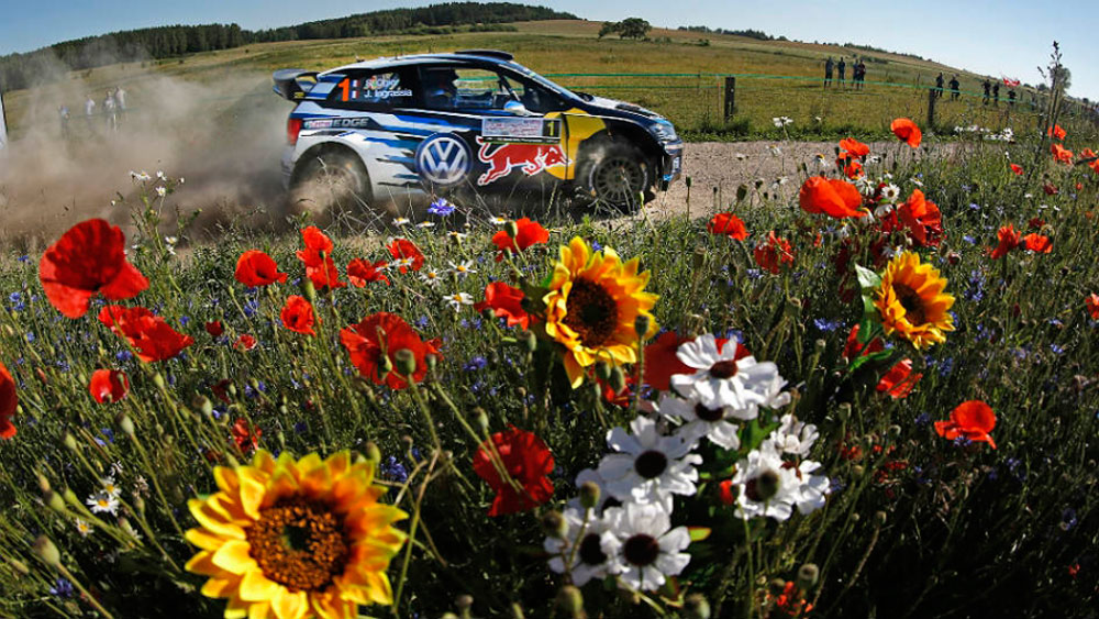 Фото: www.wrc.com